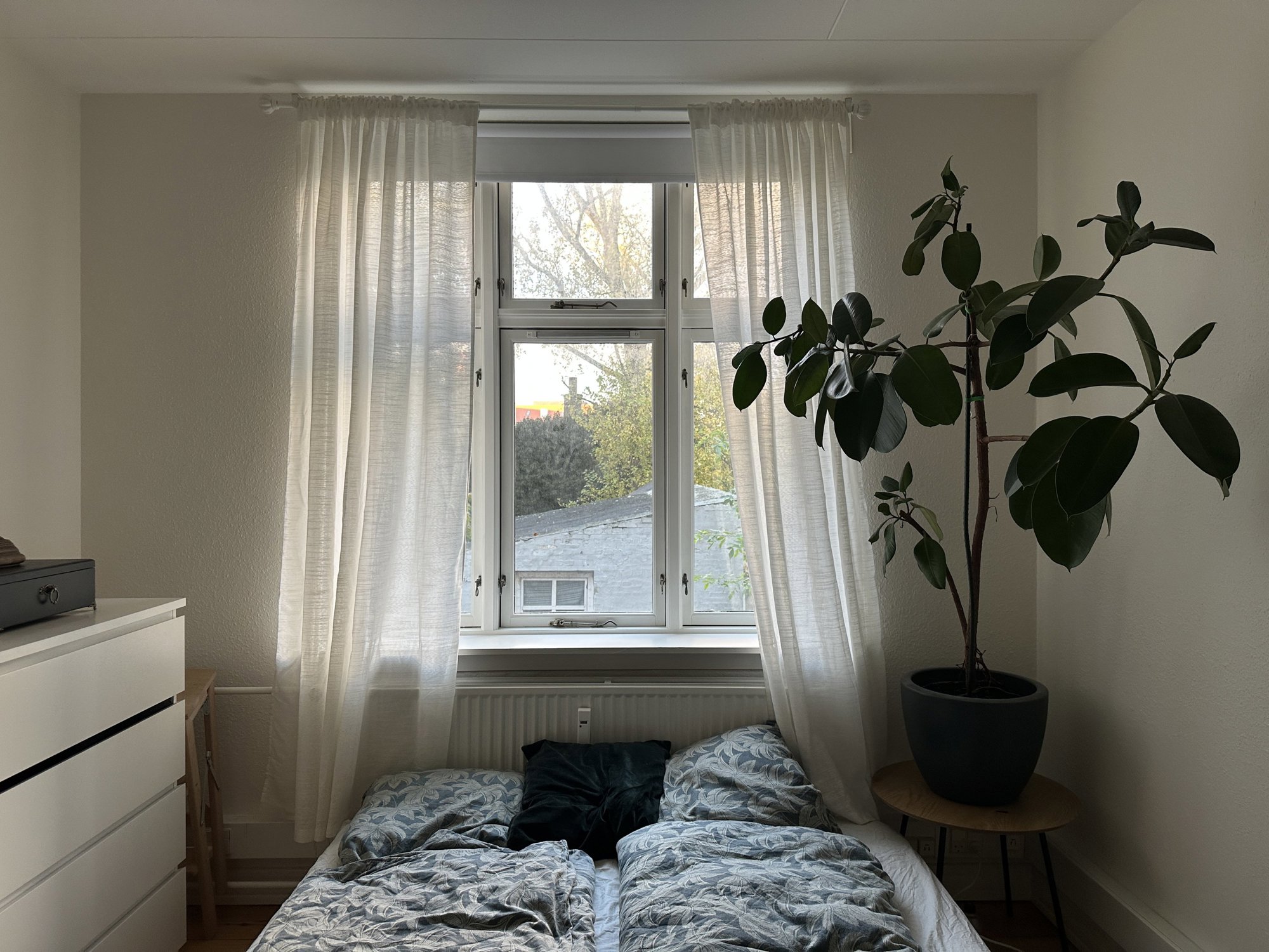 Reberbansgade 16A, 1. th., 9000 Aalborg