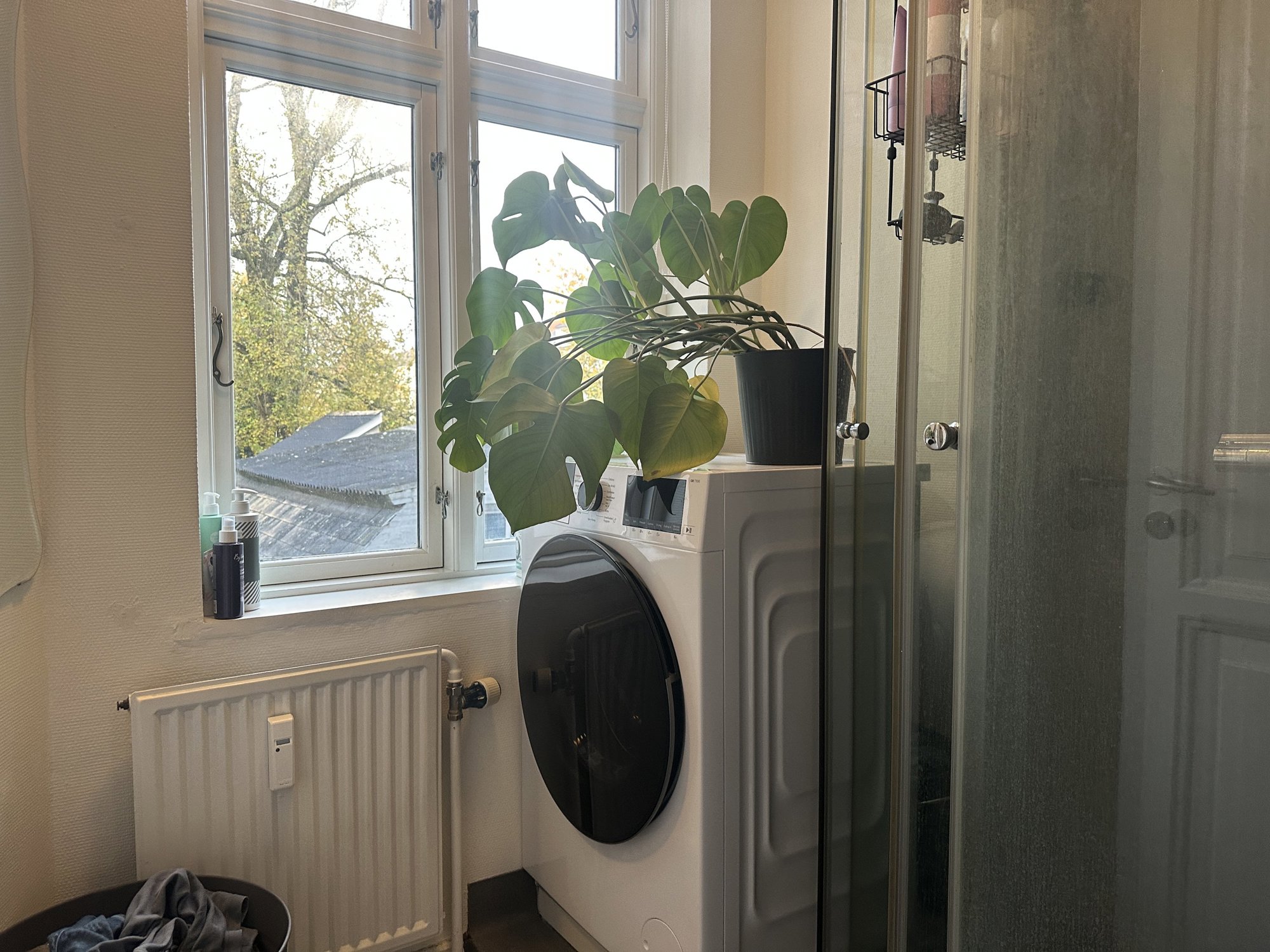 Reberbansgade 16A, 1. th., 9000 Aalborg